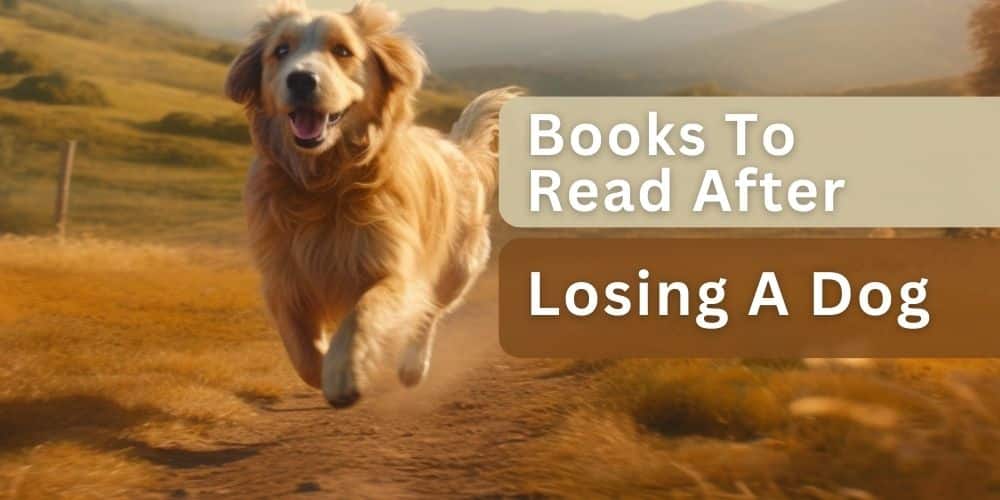 Books to read after losing a dog